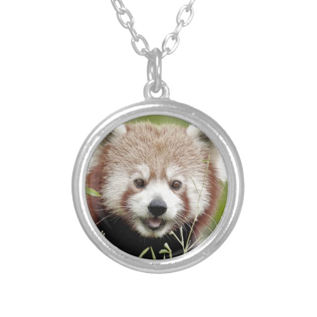 Necklace Photo red panda , animals 0407. (Front)