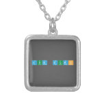 Dum Dums  Necklaces