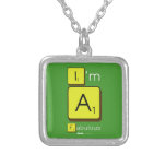 I'm
 A
 Fabulous  Necklaces
