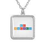 Mr 
 Starkey  Necklaces