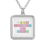 Jesus
 Christ
 Is
 Lord  Necklaces