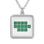 yeah
 science
  bitch  Necklaces