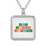 Home 
 Profits
 Formula  Necklaces