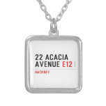 22 ACACIA AVENUE  Necklaces