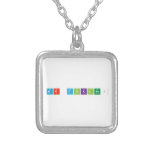 Mr Dinkles!  Necklaces