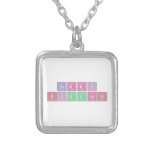 terri
 pizzaro  Necklaces
