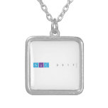 Feliz 2017  Necklaces