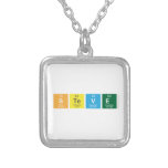 Steve  Necklaces