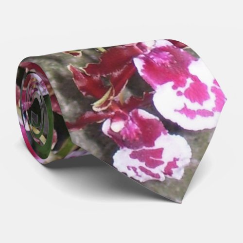 Necktie _ Tolumnia Jairak Rainbow Orchid