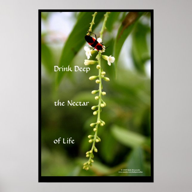Nectar of Life Poster (Front)