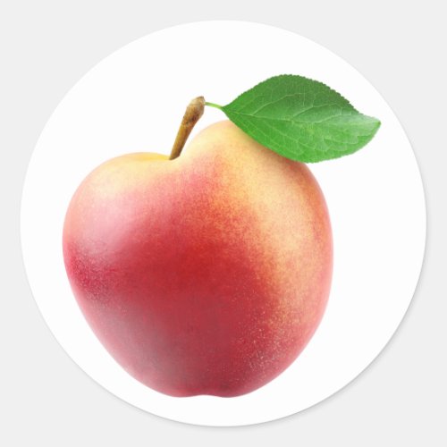 Nectarine peach classic round sticker