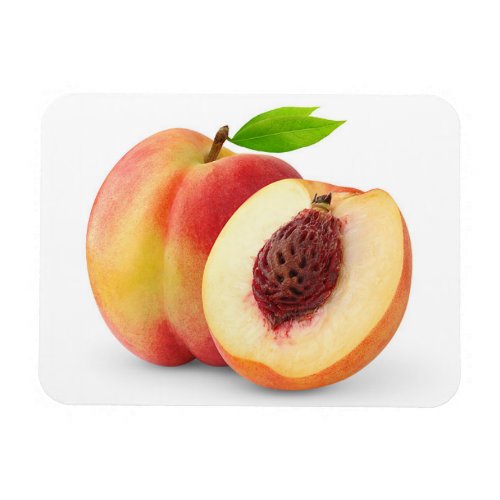 Nectarine peaches magnet