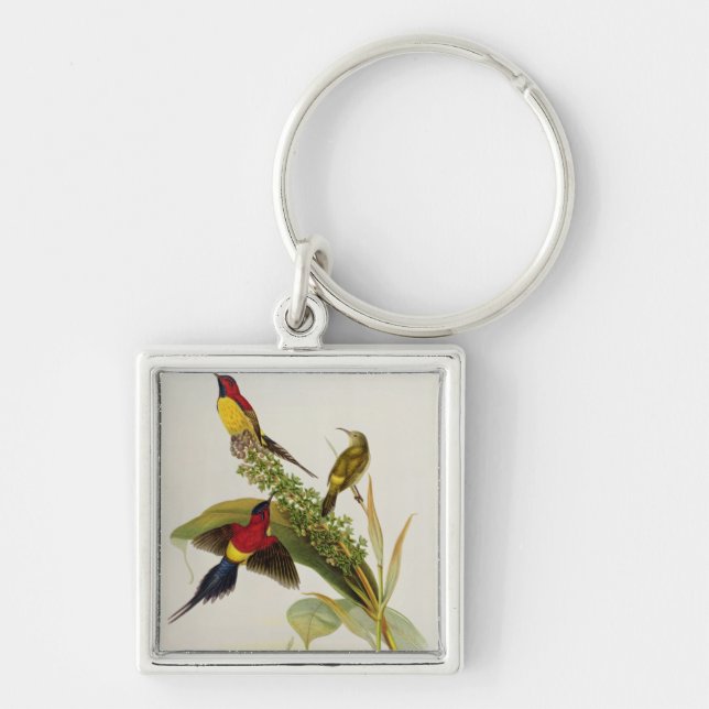 Nectarinia Gouldae Keychain (Front)