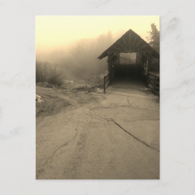 nederland walking bridge postcard (Front)