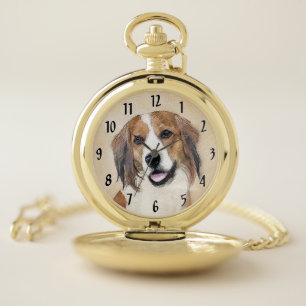 Nederlandse Kooikerhondje Painting - Dog Art Pocket Watch