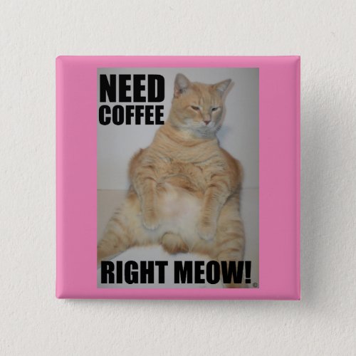 NEED COFFEE RIGHT MEOW Manx Cat Sitting Funny Button