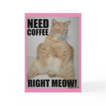NEED COFFEE RIGHT MEOW! Manx Cat Sitting Funny