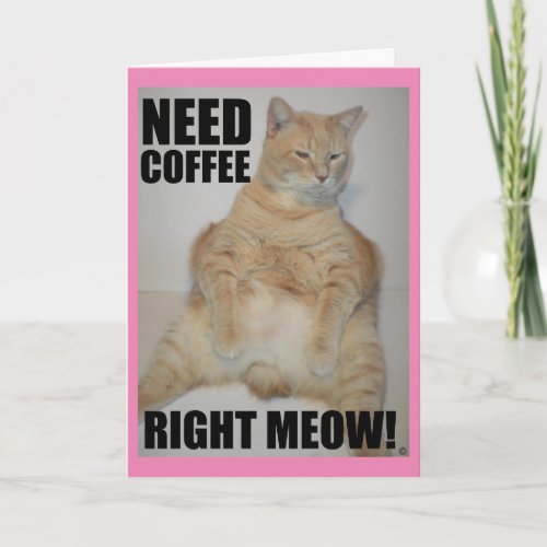 NEED COFFEE RIGHT MEOW Manx Cat Sitting Funny Card