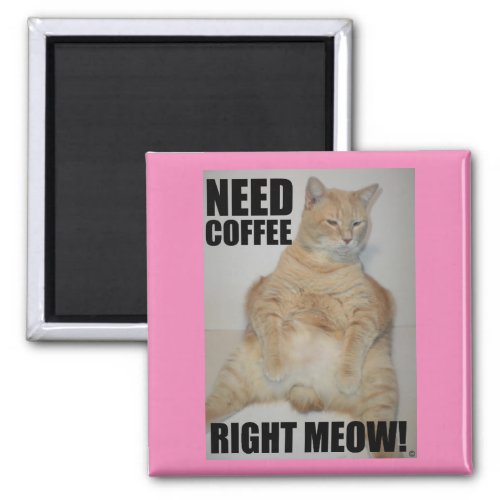 NEED COFFEE RIGHT MEOW Manx Cat Sitting Funny Magnet