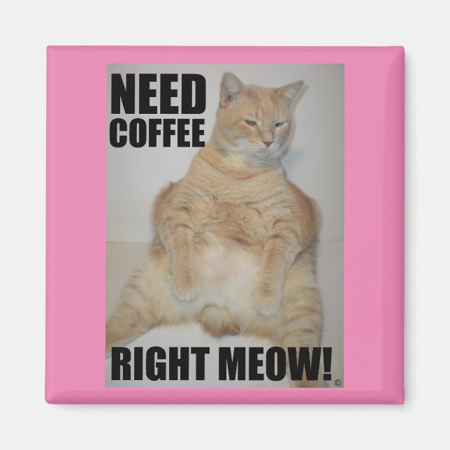 NEED COFFEE RIGHT MEOW! Manx Cat Sitting Funny Magnet (Front)