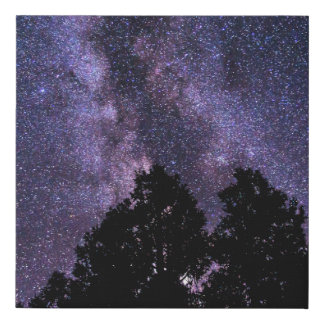 Needing Space - Dark Sky Milky Way Faux Canvas Print