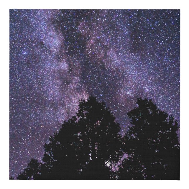 Needing Space - Dark Sky Milky Way Faux Canvas Print (Front)