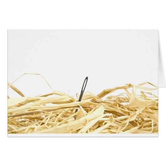 needle in a haystack (Front Horizontal)