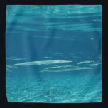 Needlefish Bandana<br><div class="desc">A school of Needlefish in a crystal clear Florida spring.</div>