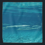 Needlefish Bandana<br><div class="desc">A school of Needlefish in a crystal clear Florida spring.</div>