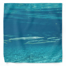 Needlefish Bandana