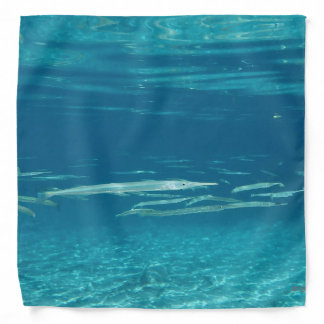 Needlefish Bandana