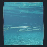 Needlefish Bandana<br><div class="desc">A school of Needlefish in a crystal clear Florida spring.</div>