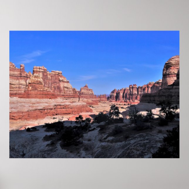 Needles: Canyonlands National Park Poster (Front)
