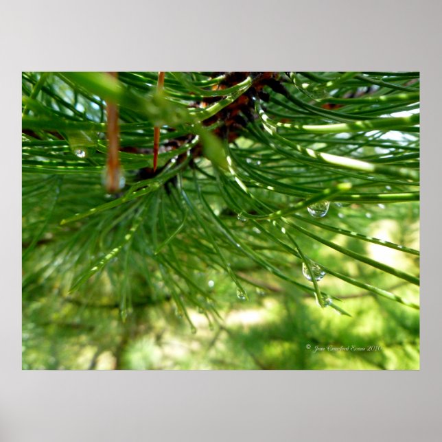 Needles & droplets poster (Front)