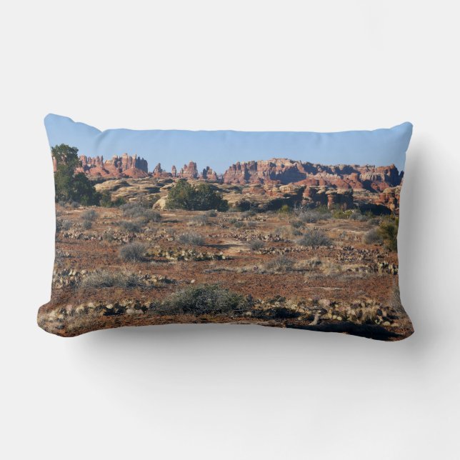 Needles from Pothole Point Trail at Canyonlands Lumbar Pillow (Front)