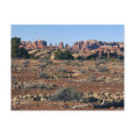 Needles from Pothole Point Trail at Canyonlands Postcard