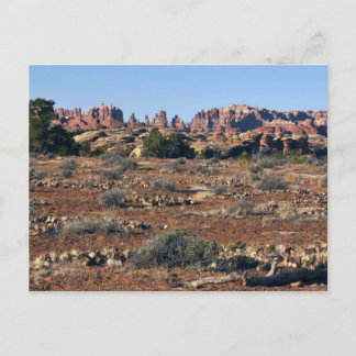 Needles from Pothole Point Trail at Canyonlands Postcard