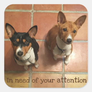 Needy Basenji's Square Sticker