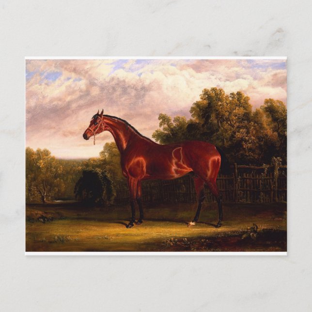 Negotiator Postcard (Front)