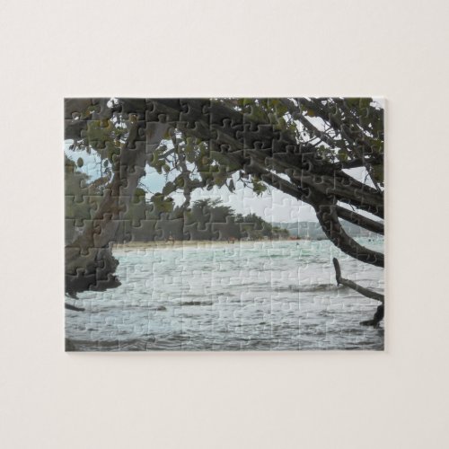 Negril Beach Jamaica from Mangrove Trees Puzzle