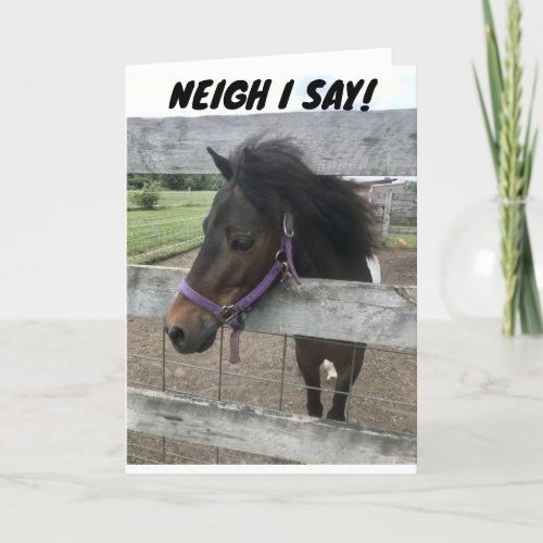 NEIGH I SAY YOU CANT BE 50 CARD