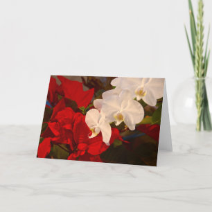 Neighbors Holiday Card