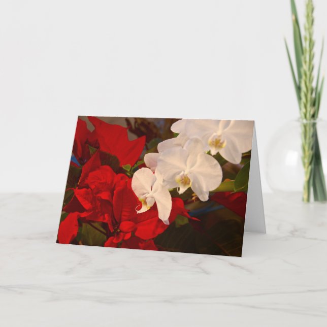 Neighbors Holiday Card (Front)