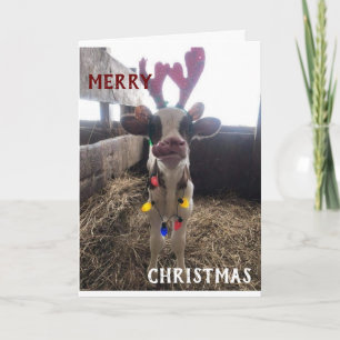 NEIGHBORS WISHED MERRY CHRISTMAS/HAPPY NEW YEAR HOLIDAY CARD