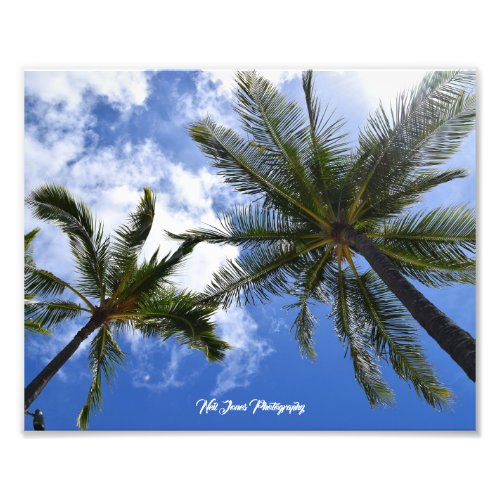 Neil Jones Photography _ Palms on Waikiki Beach Photo Print