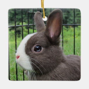 Neitherland Dwarf Pet Bunny Rabbit Ceramic Ornament