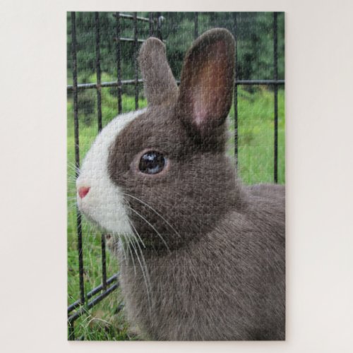 Neitherland Dwarf Pet Bunny Rabbit Jigsaw Puzzle