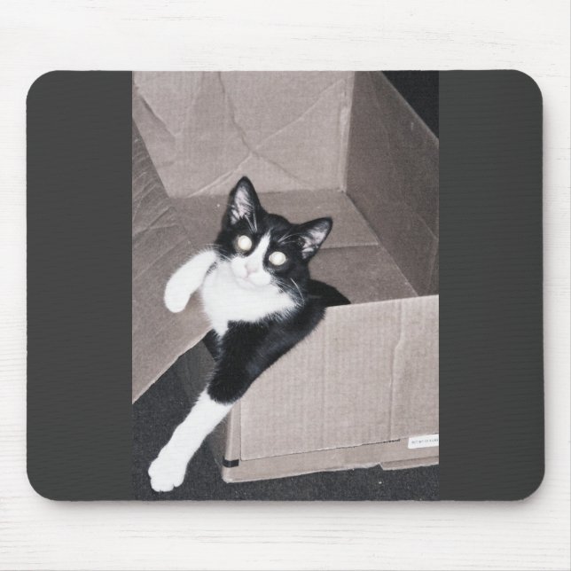 nekoo mouse pad (Front)