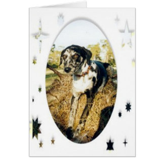 Nellie Stars Cards