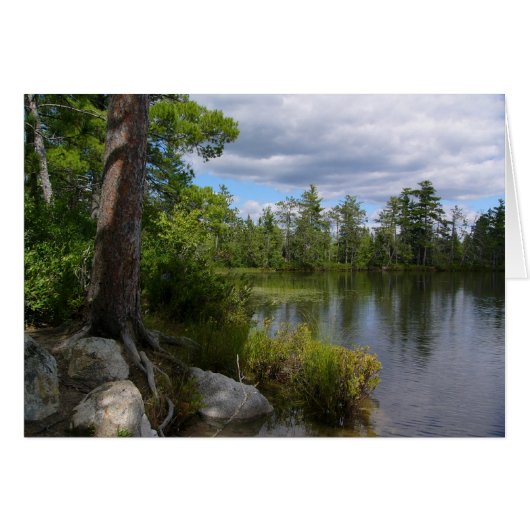 nelligan lake cards (Front Horizontal)